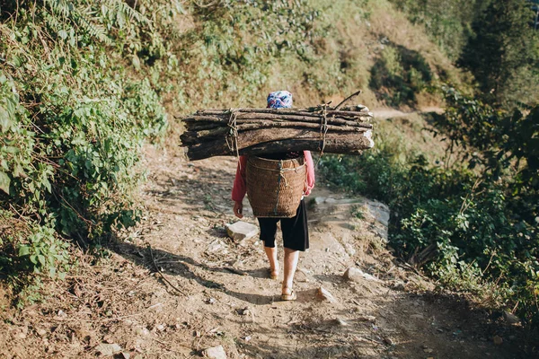 Trasporto di legno — Foto stock