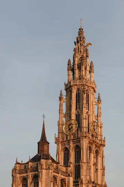 Cattedrale della Madonna — Foto stock