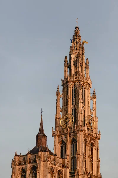 Cathedral of Our Lady — Stock Photo