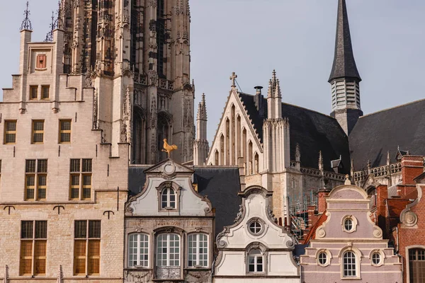 Houses and rooftops — Stock Photo