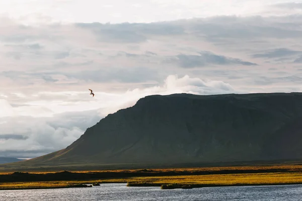 Berg — Stockfoto