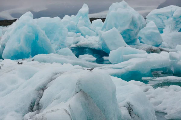 Icebergs bleus — Photo de stock
