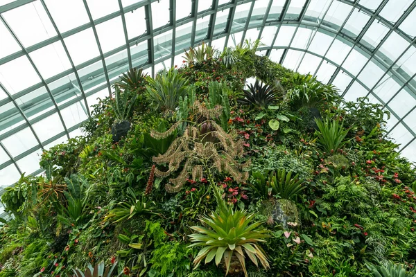 Greenhouse — Stock Photo