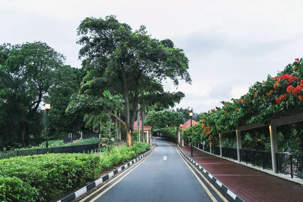 Empty road — Stock Photo