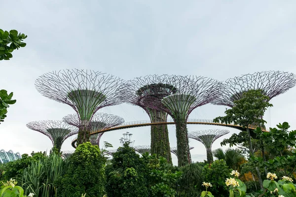 Singapour — Photo de stock