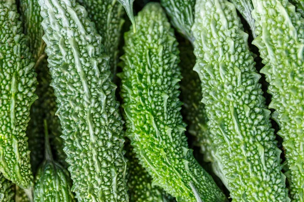 Green cucumbers — Stock Photo