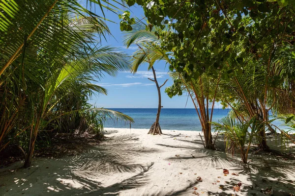 Maldives — Stock Photo