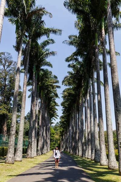 Turista — Fotografia de Stock