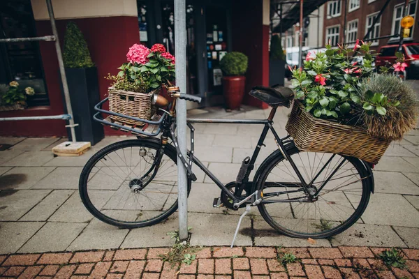 Bicycle with baskets — Stock Photo