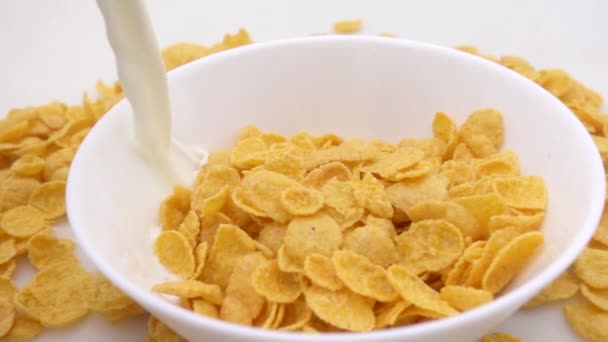 La leche se vierte en copos de maíz — Vídeos de Stock