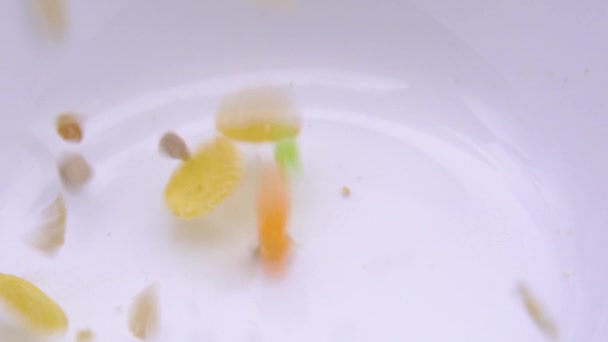 Close-up de muesli derramado em uma tigela branca — Vídeo de Stock