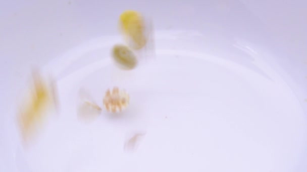 Κοντινό πλάνο του muesli χύνεται σε ένα λευκό μπολ — Αρχείο Βίντεο