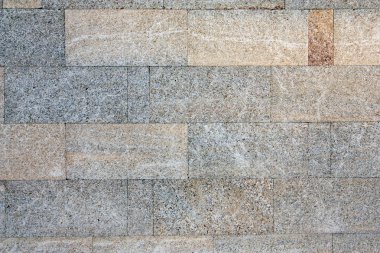 Deniz kabukları oluşan taş