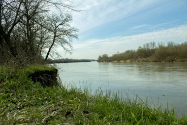 Orman nehir ve vahşi doğa.
