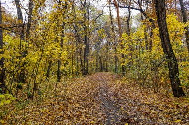 02 _ Parkta Sonbahar Boris II, Sofya, Bulgaristan