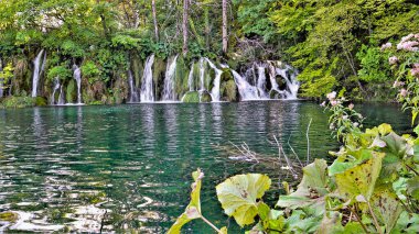        1 _ Sayısız şelale Hırvatistan 'daki Plitviç göllerinde peri masalı bir dünya yarattı.