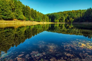 Lake Meugliano, İl Turin, Piedmont bölgesi, İtalya. 13:50 8 Ekim 2017. Sonbahar yaprakları renkleri ve oyunun su ayna üzerine düşünceler. Göl kenarındaki yeşil iğne yapraklılar. Mavi gökyüzü.