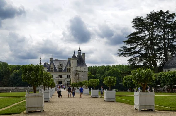 Castle Chenonceau Loire Bölgesi Fransa Haziran 2017 Kalenin Uzun Ağaçlıklı — Stok fotoğraf