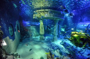 Almanya, Ichenhausen 25 Haziran 2015 yakınındaki Lego park 'Legoland'. Normal bir akvaryum olmasının yanı sıra deniz-hayat tarafından Atlantis denen legoland park, akvaryum tankları Lego set-up var