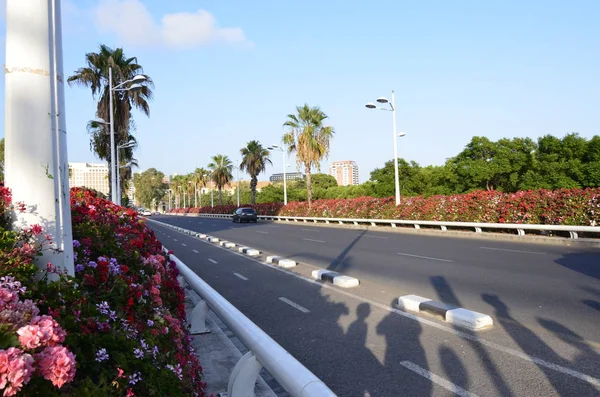 Pont de les Flors Jardin del Turia Valencia şehir haçlar köprüler biridir. Her zaman çiçeklerle süslenmiş özelliği vardır.