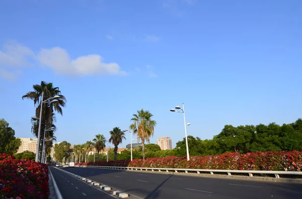 Pont de les Flors Jardin del Turia Valencia şehir haçlar köprüler biridir. Her zaman çiçeklerle süslenmiş özelliği vardır.