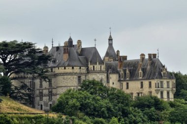 Chaumont kale sur Loire 29 Haziran 2017 2016: Loire Valley, Fransa. Loire Nehri'nin tam tersi bankadan çekilen fotoğraf 