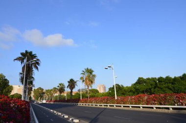 Pont de les Flors Jardin del Turia Valencia şehir haçlar köprüler biridir. Her zaman çiçeklerle süslenmiş özelliği vardır.