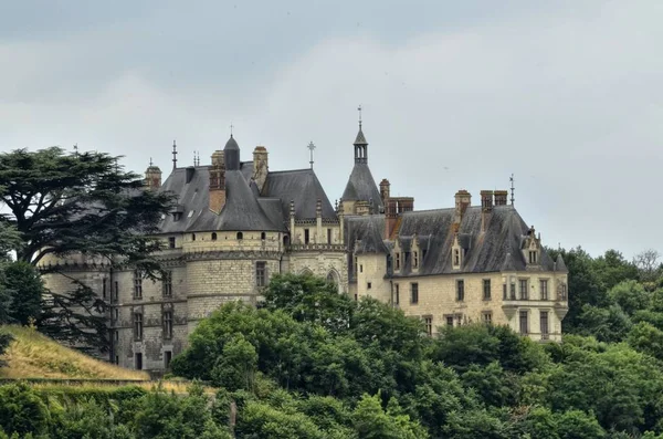 肖蒙的城堡 2017年6月29日 法国卢瓦尔河谷20 从卢瓦尔河对岸拍摄的照片 — 图库照片