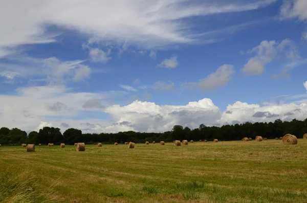 Countryside Landscape Vicinity Castle Villandry France Loire Valley — Stock Photo, Image