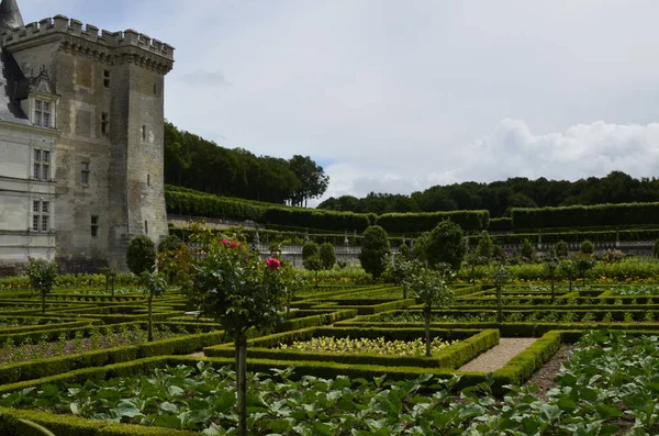 Villandry Valle Del Loira Francia Junio 2017 Vista Del Castillo —  Fotos de Stock