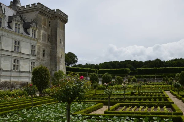 Villandry Údolí Loiry Francie Června 2017 Pohled Hrad Straně Nádherné — Stock fotografie