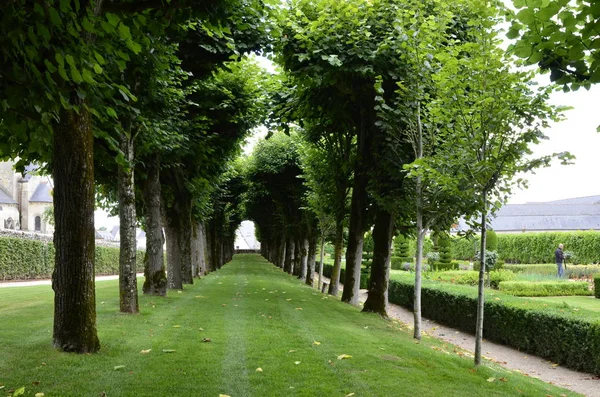 Villandry Valle Del Loira Francia Junio 2017 Área Los Jardines — Foto de Stock