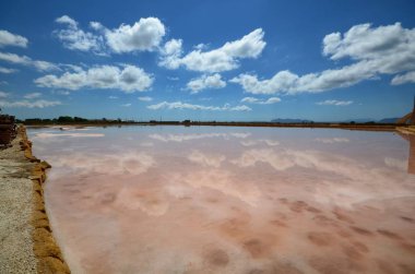 Trapani, İtalya, Sicilya 20 Ağustos 2015. Onun karakteristik pembe tuz ile muhteşem tuz tava Trapani. Su aşırı tuzluluk rağmen hayatta mikroalg nedeniyle renklendirme.