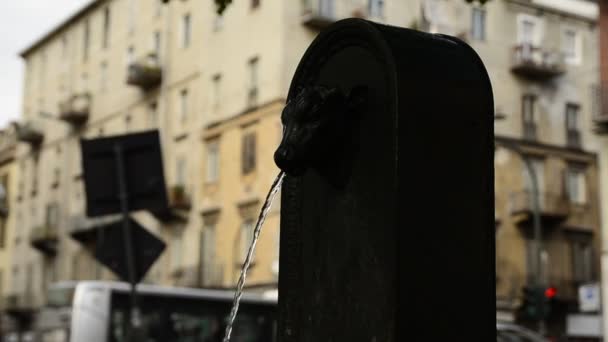 Turin Piedmont Region Italy May 2018 Symbolic Fountain Turin Torello — Stock Video