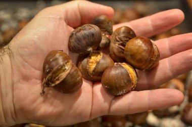 Kestanelerle dolu metal bir fırın tavası. 