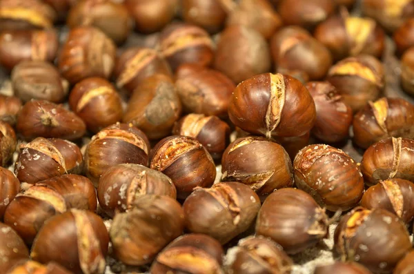 A metal baking pan filled with chestnuts roasted