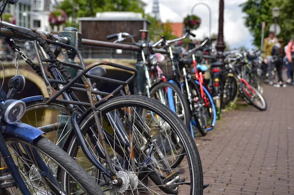 Ámsterdam, Holanda. Agosto 2019. Bicicletas estacionadas a lo largo del canal — Foto de Stock