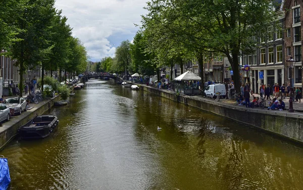 Amsterdam, Hollanda. Ağustos 2019. Cana 'nın klasik görüntüsü — Stok fotoğraf