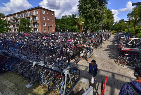 Ámsterdam, Holanda, agosto de 2019. En los suburbios modernos una gran o — Foto de Stock
