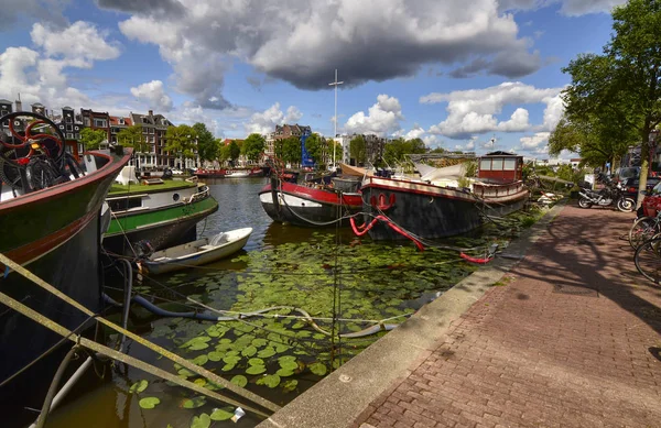 Ámsterdam, Holanda, agosto de 2019. Vista del río Amstel, outsk —  Fotos de Stock