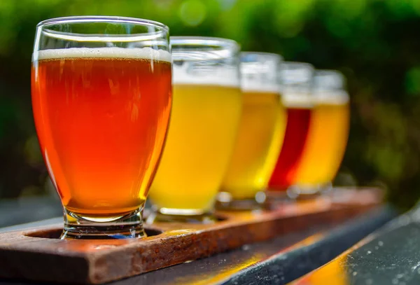 Degustación de cerveza artesanal: cinco vasos con cervezas de diferentes colores — Foto de Stock