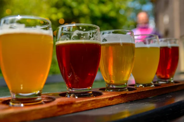 Degustación de cerveza artesanal: cinco vasos con cervezas de diferentes colores — Foto de Stock