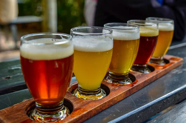 Дегустація пива: п'ять келихів з пивом різних кольорів — стокове фото