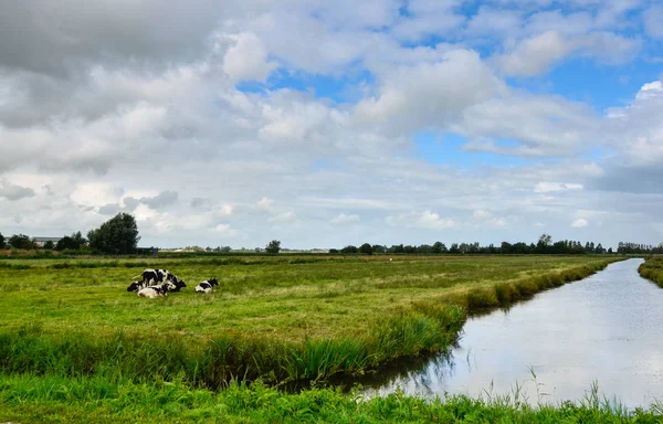 オランダの田舎の郵便はがきの画像。緑と — ストック写真