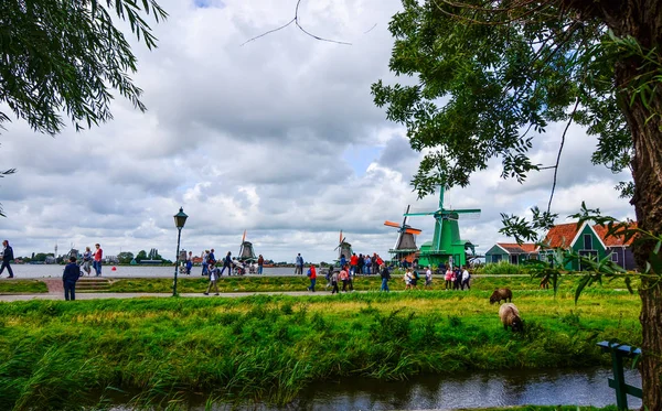 Zaanse Schans, Holland, augusti 2019. Nordöstra Amsterdam är ett — Stockfoto