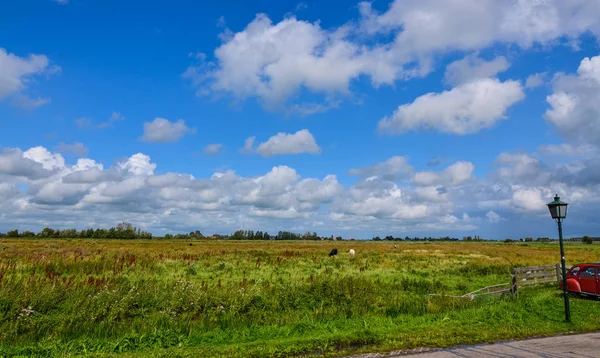 Vykortsbild av den nederländska landsbygden. Grön och — Stockfoto