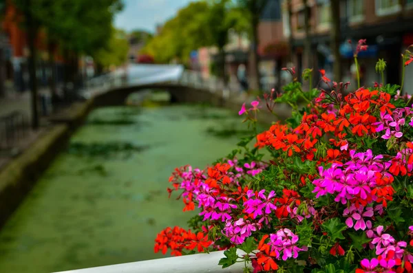 Delft, de Nederlanden, augustus 2019. De mooie en romantische kan — Stockfoto