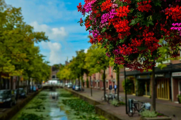 Delft, underlandet, august 2019. Den pene og romantiske kan – stockfoto