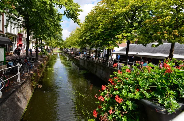 Delft Nederlanden Augustus 2019 Mooie Romantische Grachten Waterplanten Maken Een — Stockfoto