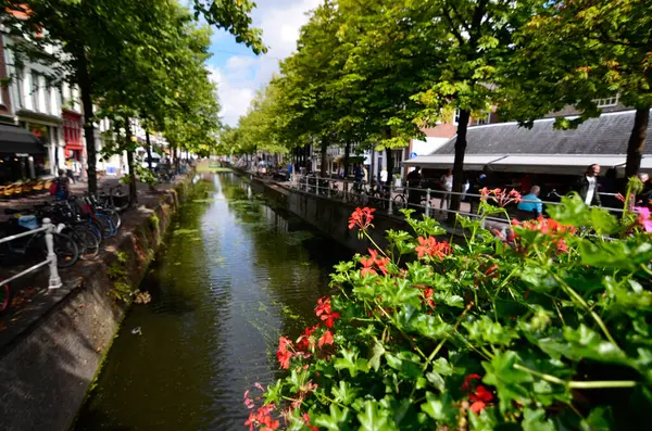 Delft Nederlanden Augustus 2019 Mooie Romantische Grachten Waterplanten Maken Een — Stockfoto